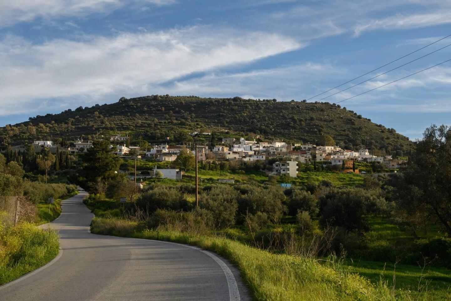 Kouses Estate Close To Matala,Komo Beach & Faistos Bagian luar foto